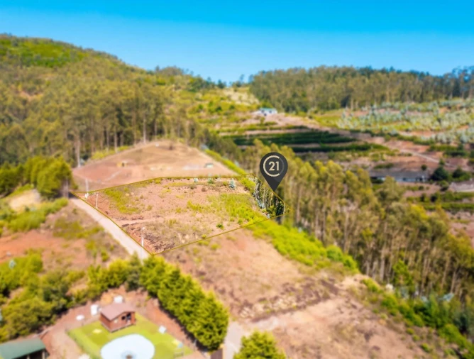 Terreno para Venda em Funchal Foto 2