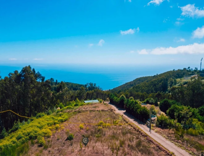 Terreno para Venda em Funchal Foto 8