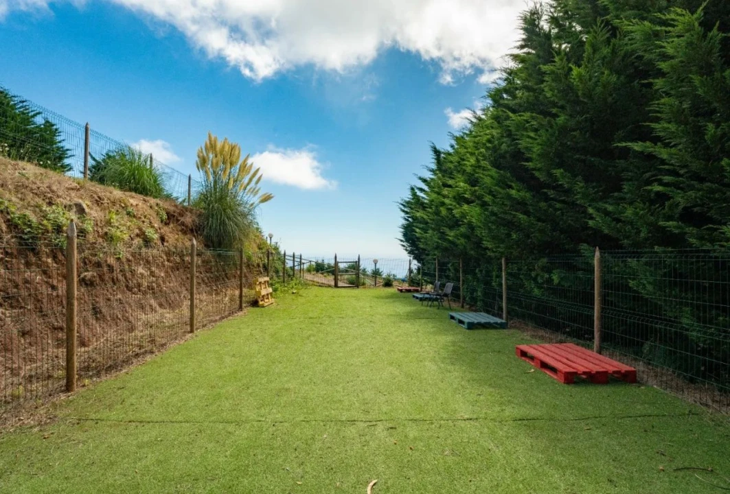 Terreno para Venda em Funchal Foto 2