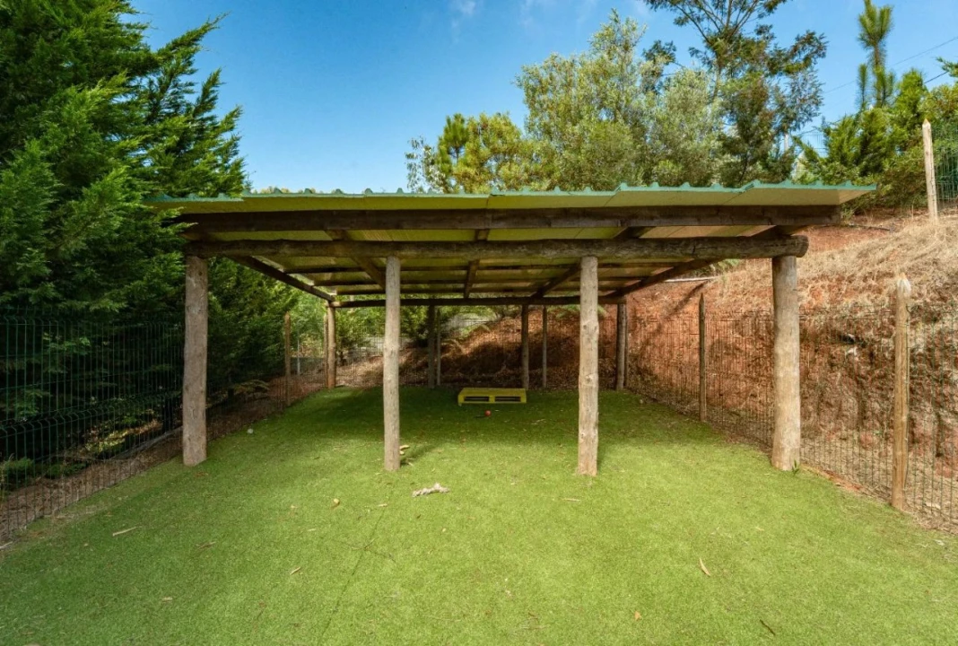 Terreno para Venda em Funchal Foto 6