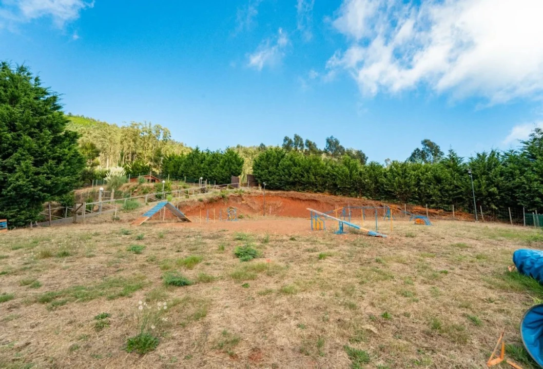 Terreno para Venda em Funchal Foto 8