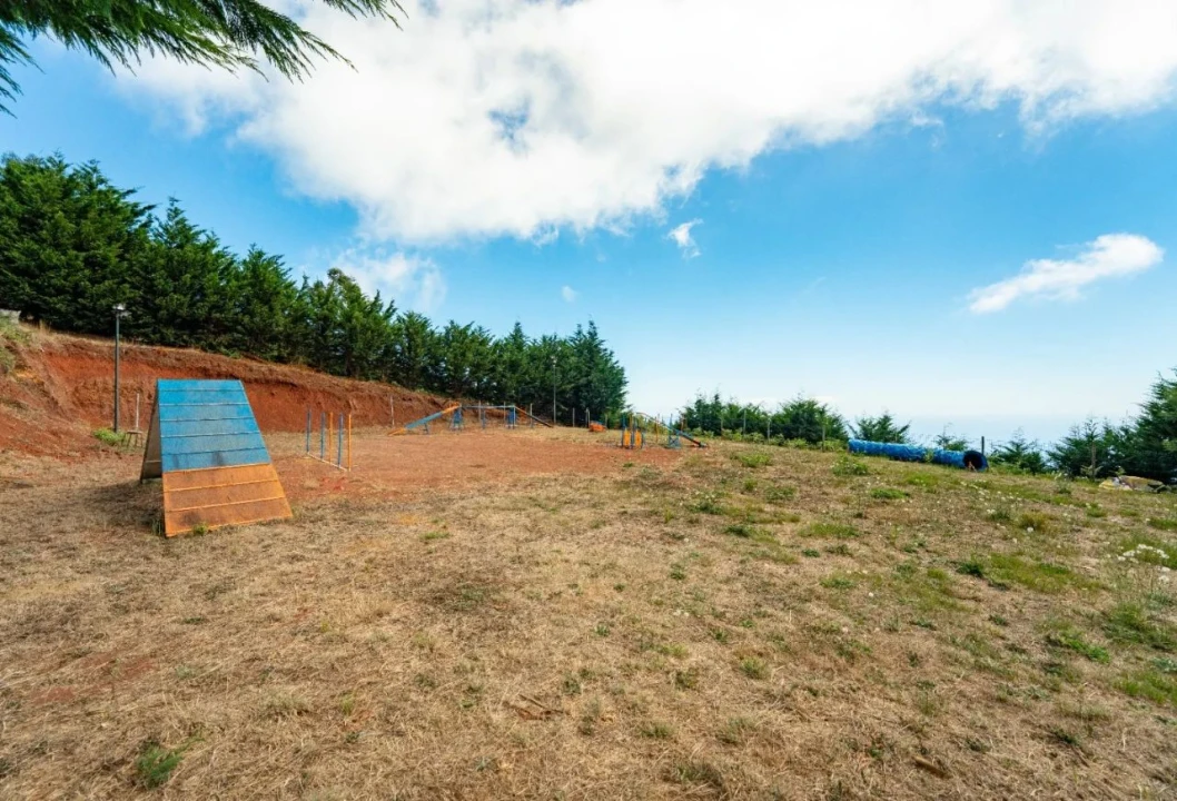 Terreno para Venda em Funchal Foto 9