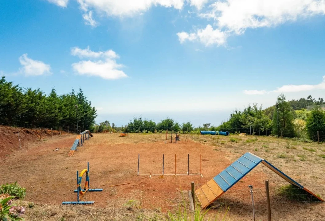 Terreno para Venda em Funchal Foto 14
