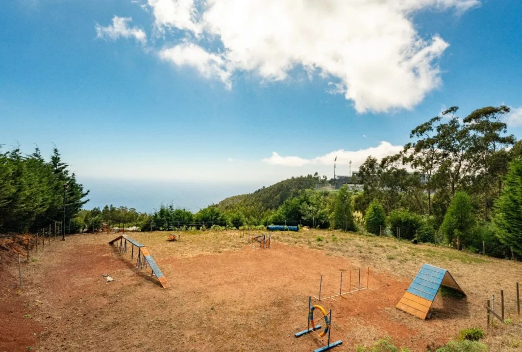 Terreno para Venda em Funchal Foto 13