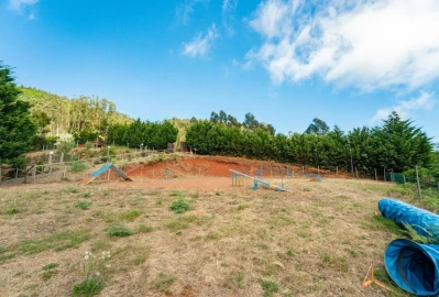 Terreno para Venda em Funchal