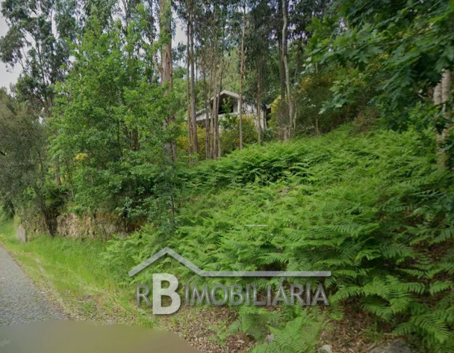 Moradia T2 para Venda em Penha Longa Foto 5