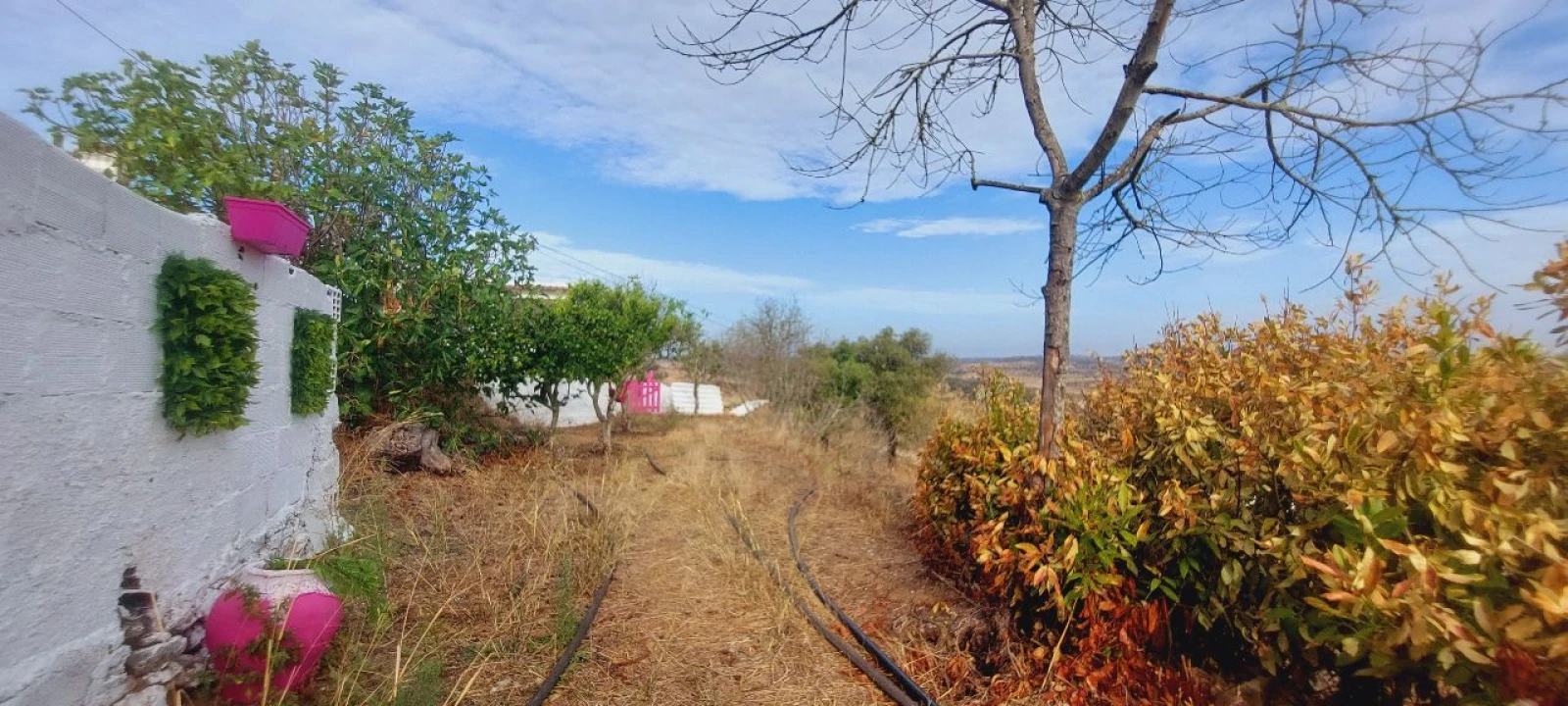 Moradia T3 para Venda em Almodôvar Foto 3