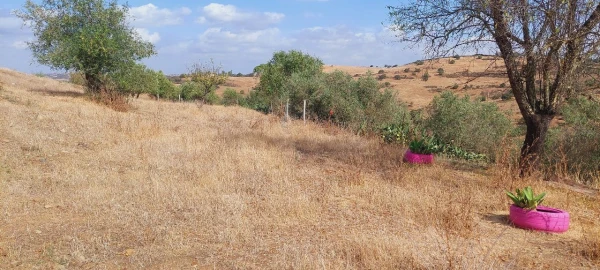 Moradia T3 para Venda em Almodôvar