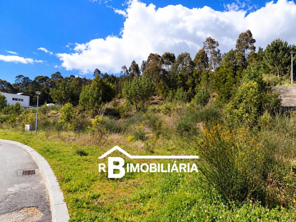 Terreno P/ Prédio para Venda em Mozelos Foto 2