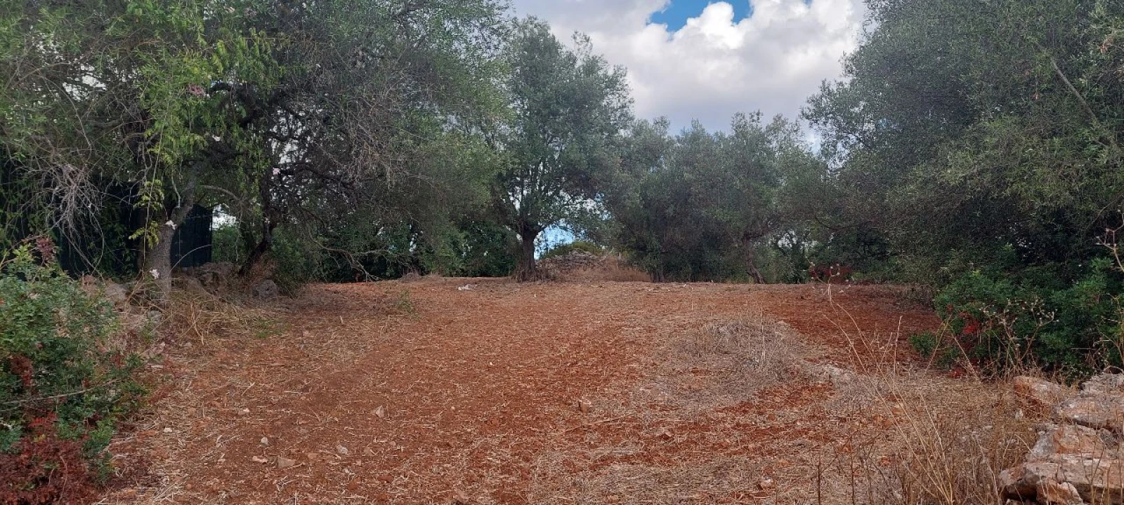 Terreno para Venda em Loulé Foto 2