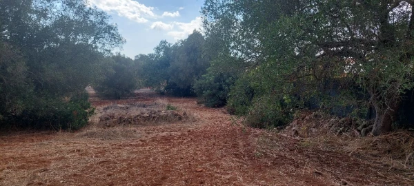 Terreno para Venda em Loulé