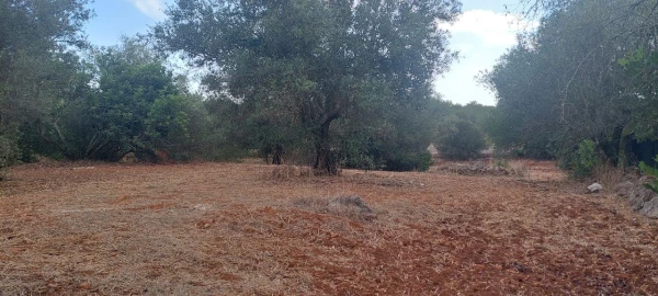 Terreno para Venda em Loulé