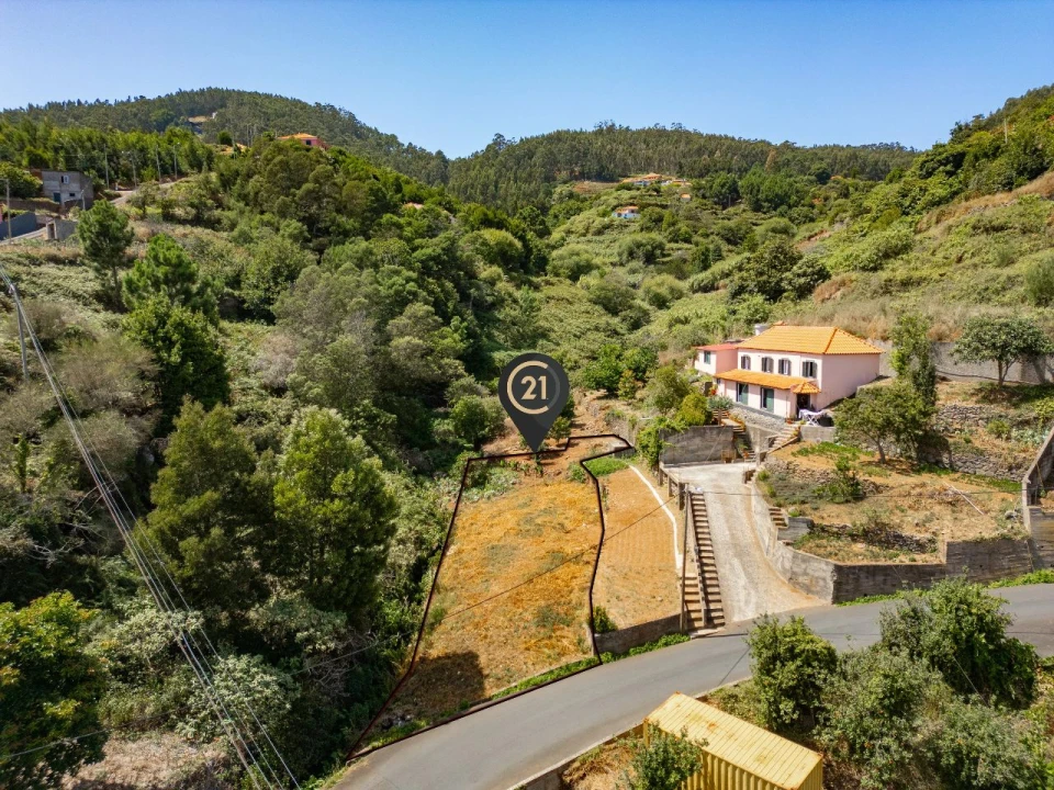 Terreno para Venda em Santa Cruz Foto 1