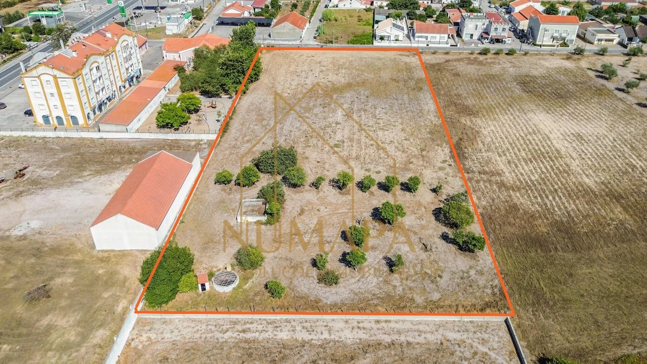 Terreno para Venda em Santo Isidro de Pegões Foto 4