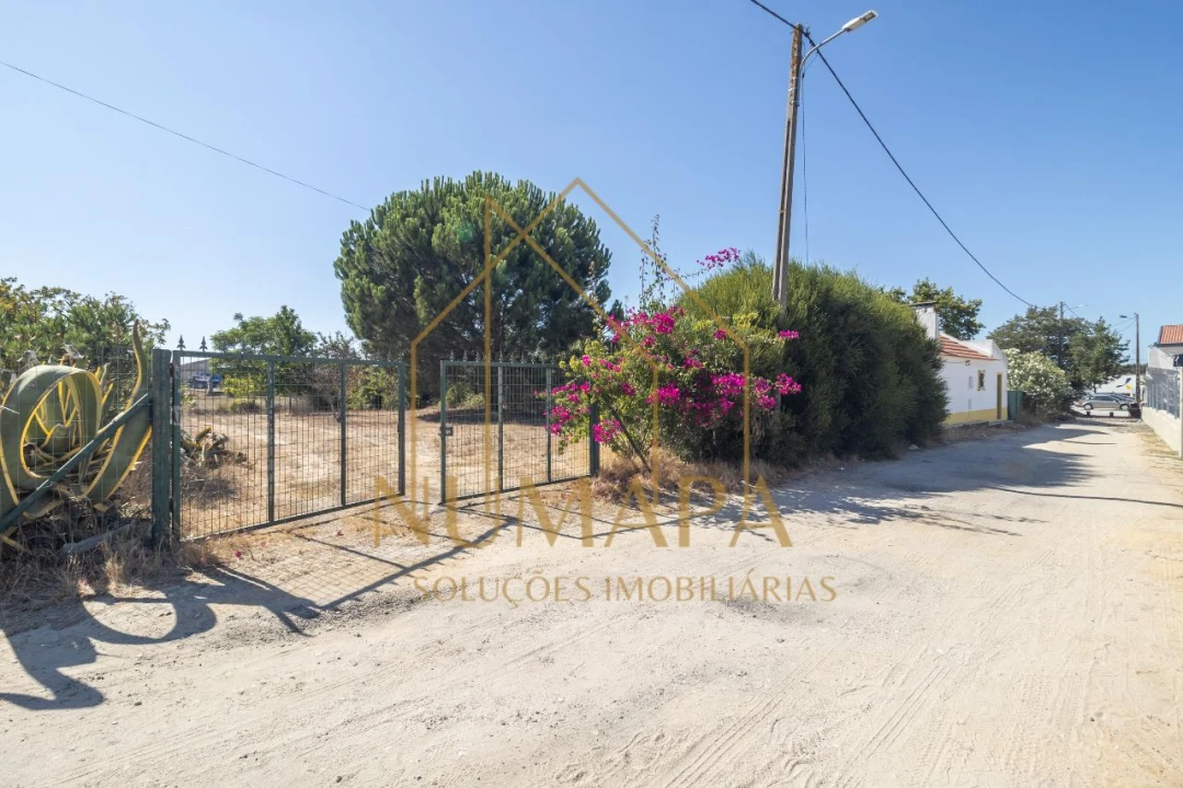 Terreno para Venda em Santo Isidro de Pegões Foto 6