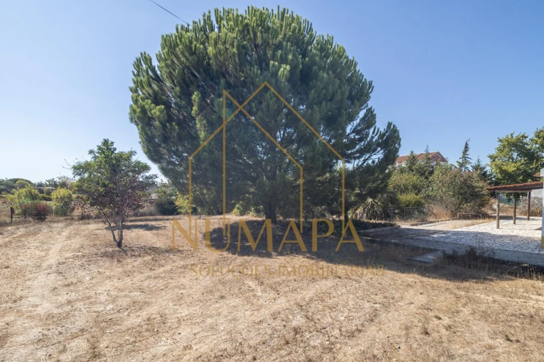 Terreno para Venda em Santo Isidro de Pegões Foto 8