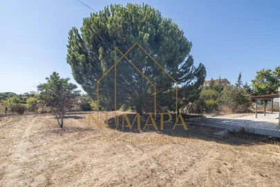 Terreno para Venda em Santo Isidro de Pegões