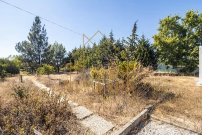 Terreno para Venda em Santo Isidro de Pegões