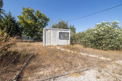 Terreno para Venda em Santo Isidro de Pegões