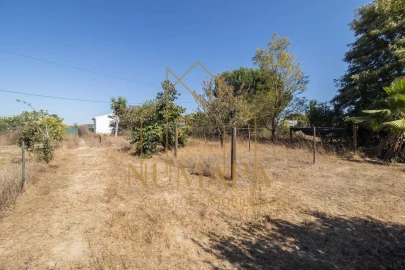 Terreno para Venda em Santo Isidro de Pegões