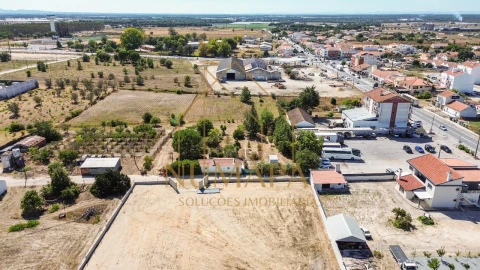 Terreno para Venda em Santo Isidro de Pegões