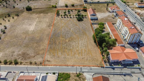 Terreno para Venda em Santo Isidro de Pegões
