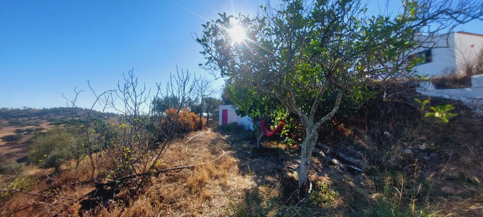 Quinta T3 para Venda em Gorazes Foto 18