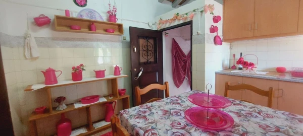 Quinta T3 para Venda em Gorazes