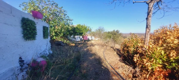 Quinta T3 para Venda em Gorazes