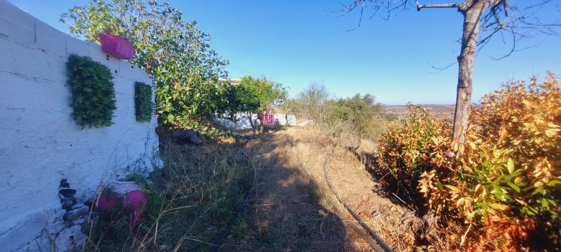 Quinta T3 para Venda em Gorazes Foto 16