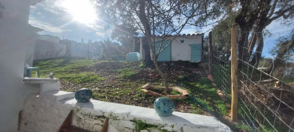 Moradia T4 para Venda em Almodôvar
