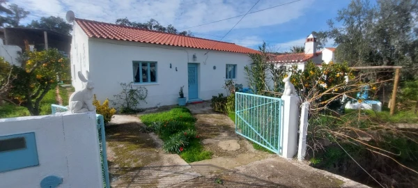 Moradia T4 para Venda em Almodôvar