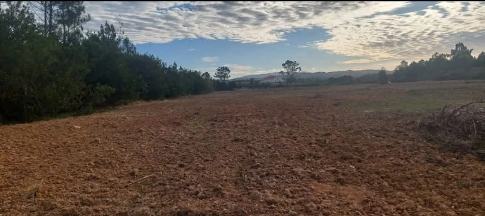Terreno para Venda em Aljezur Foto 3