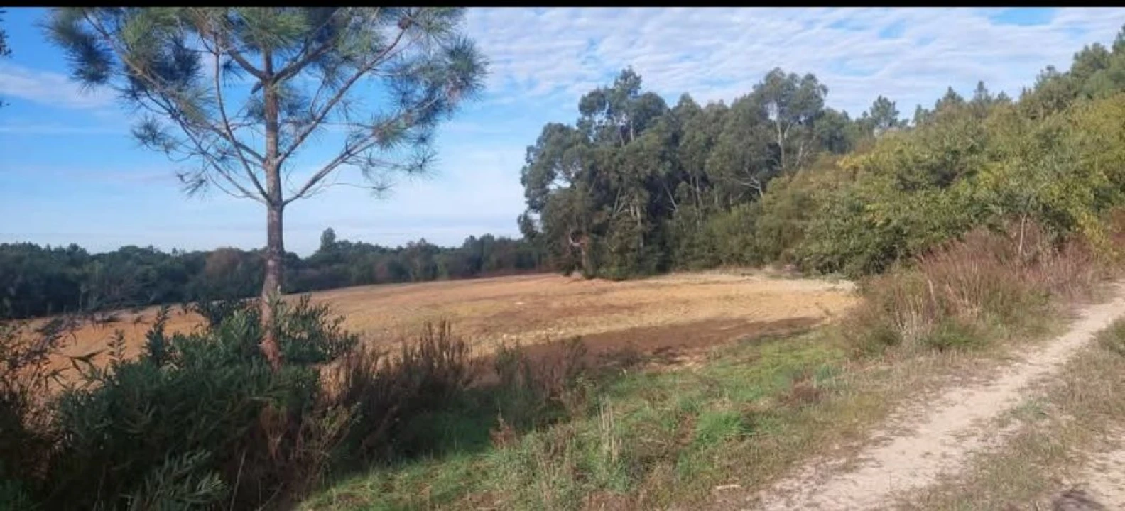 Terreno para Venda em Aljezur Foto 4
