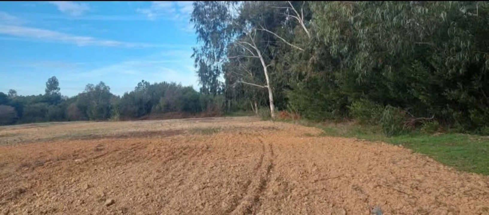 Terreno para Venda em Aljezur Foto 5