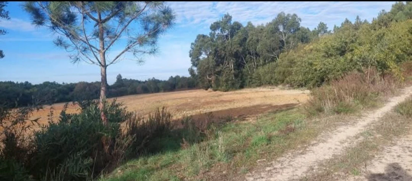 Terreno para Venda em Aljezur Foto 7