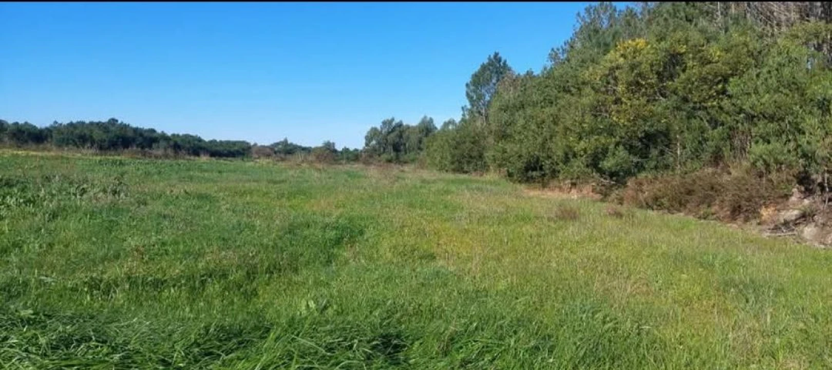 Terreno para Venda em Aljezur Foto 9