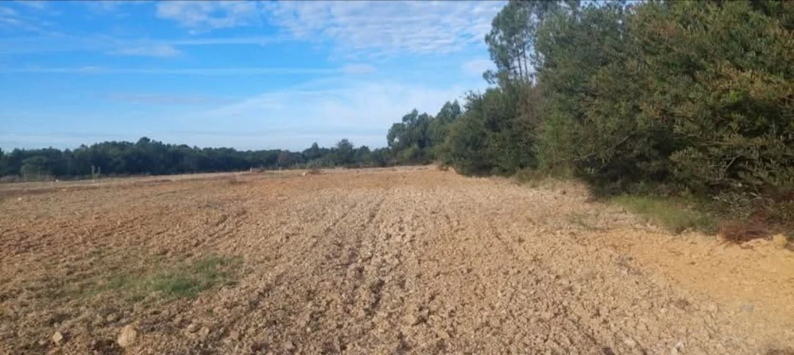 Terreno para Venda em Aljezur Foto 10