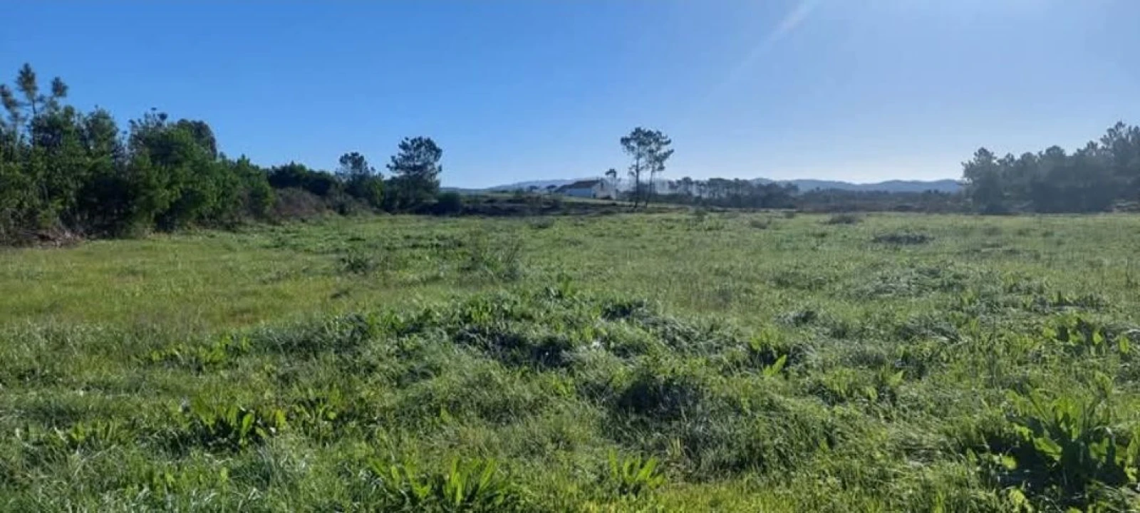 Terreno para Venda em Aljezur Foto 15
