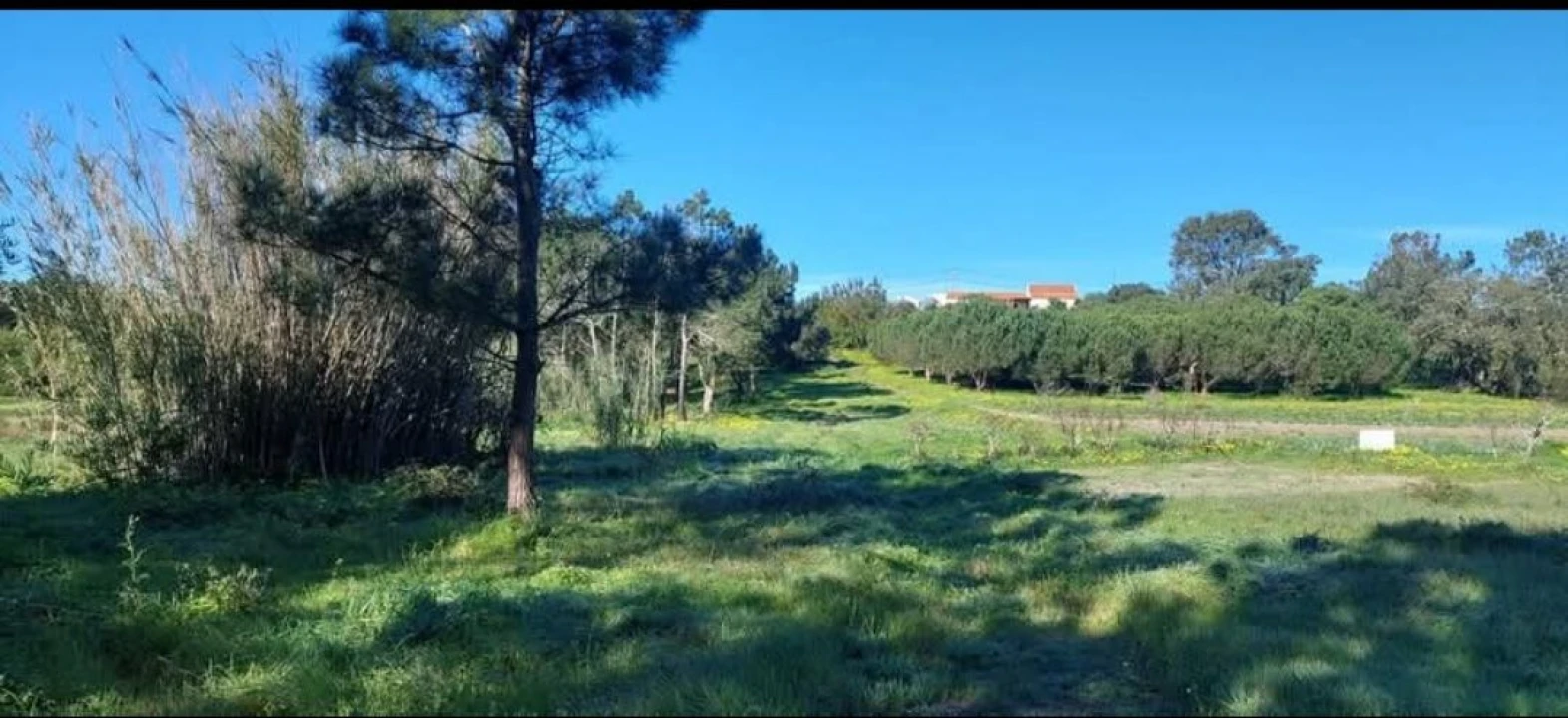 Terreno para Venda em Aljezur Foto 14