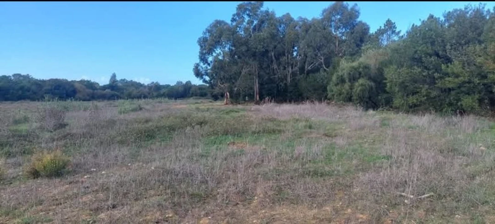 Terreno para Venda em Aljezur Foto 22