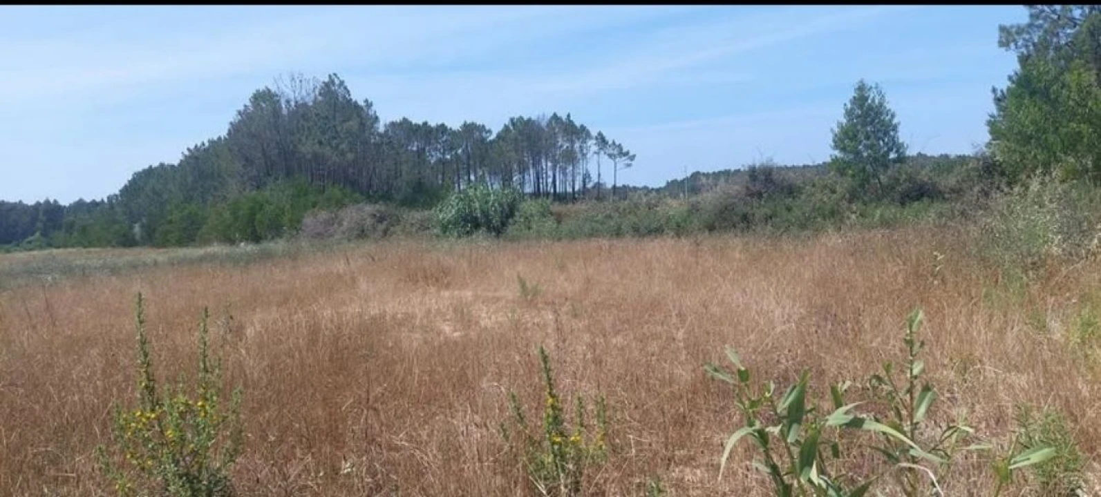 Terreno para Venda em Aljezur Foto 23