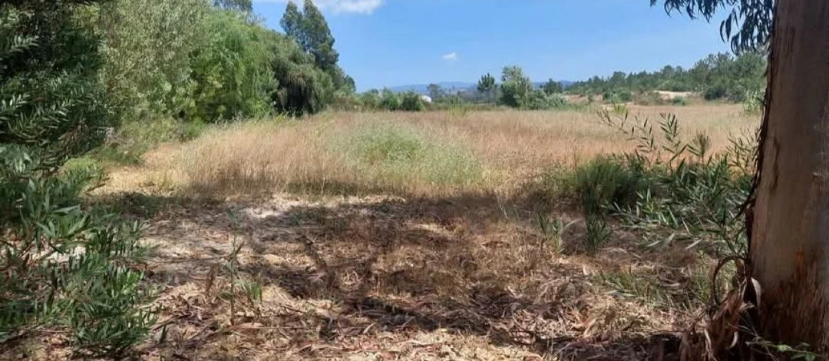 Terreno para Venda em Aljezur Foto 27