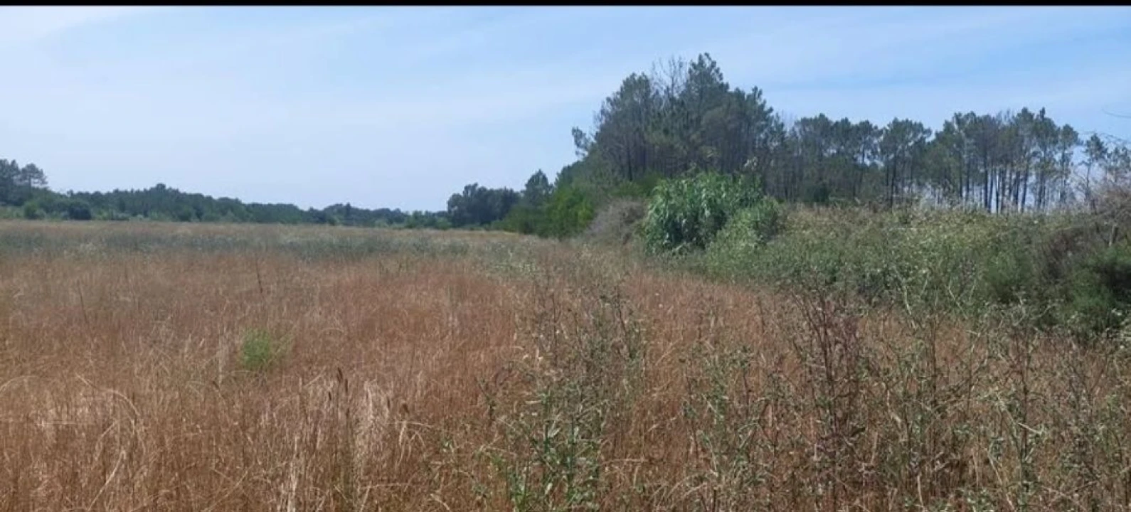 Terreno para Venda em Aljezur Foto 25