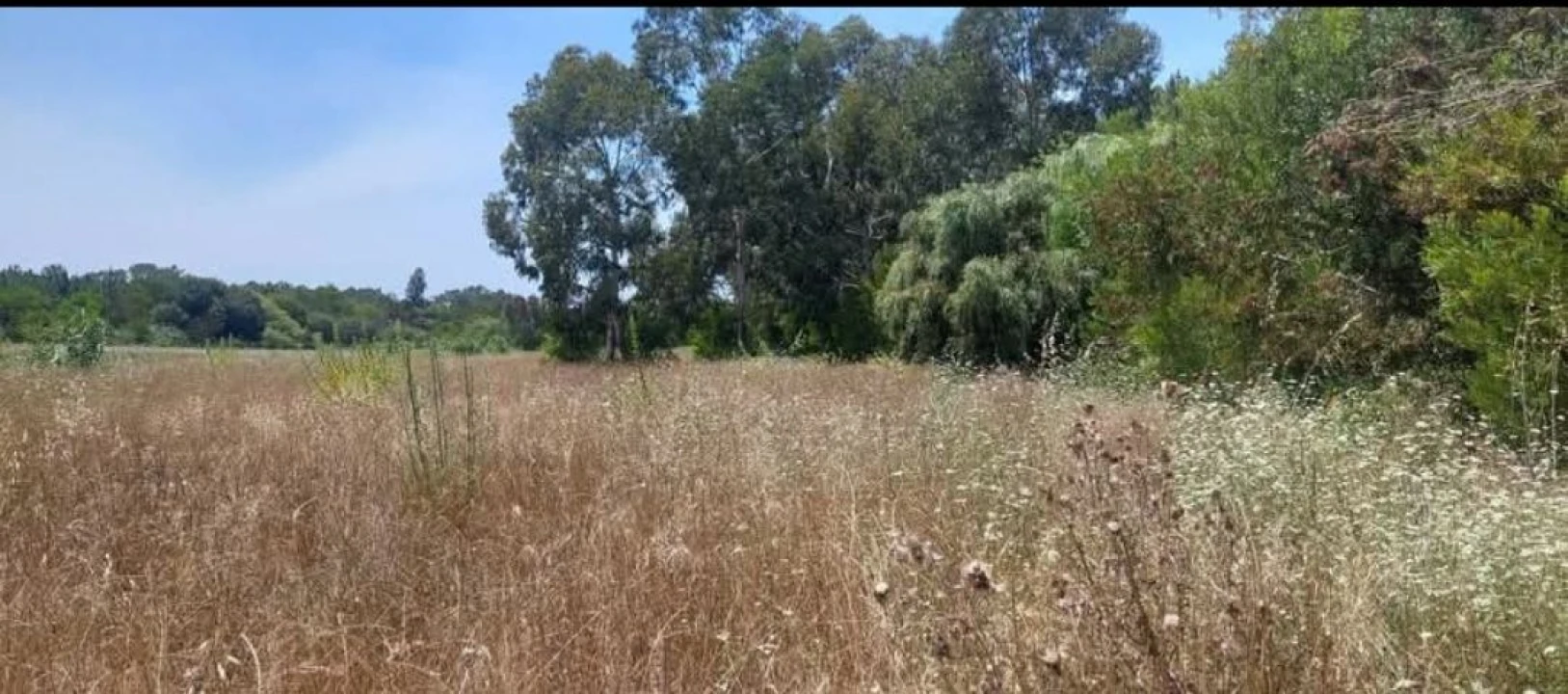 Terreno para Venda em Aljezur Foto 35