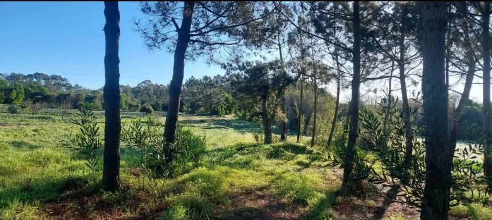 Terreno para Venda em Aljezur Foto 37