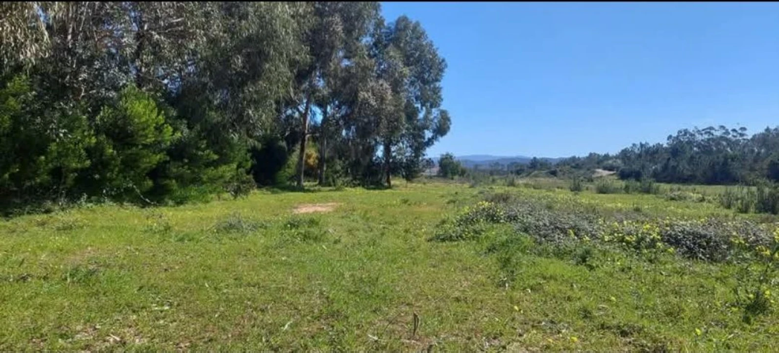 Terreno para Venda em Aljezur Foto 38