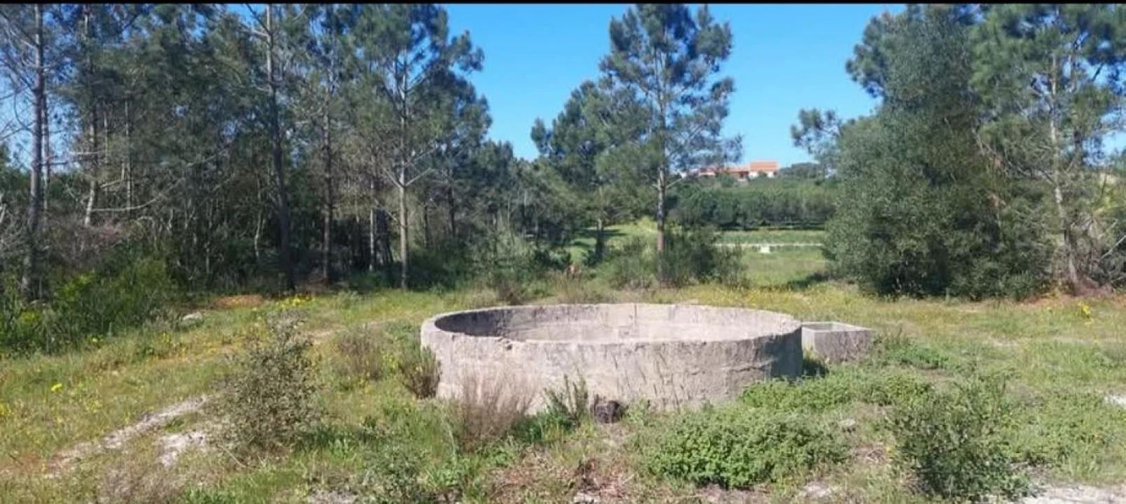 Terreno para Venda em Aljezur Foto 39