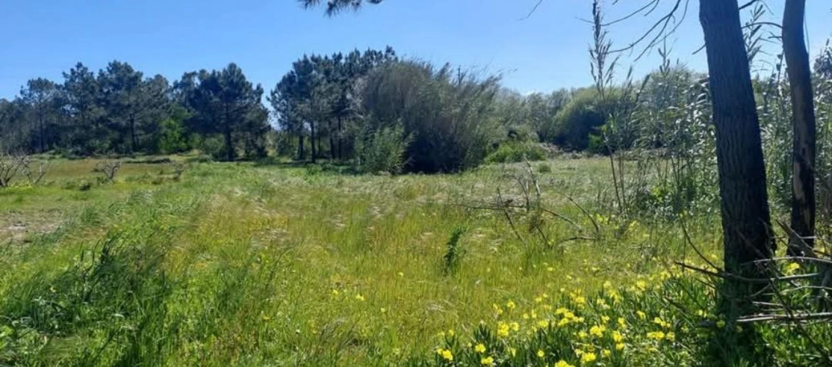 Terreno para Venda em Aljezur Foto 41