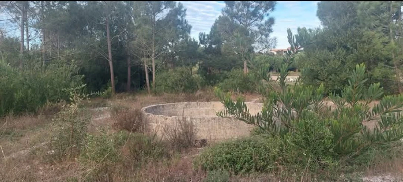 Terreno para Venda em Aljezur Foto 42
